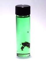 Pisces (February 19 - March 20) Spiritual Oil